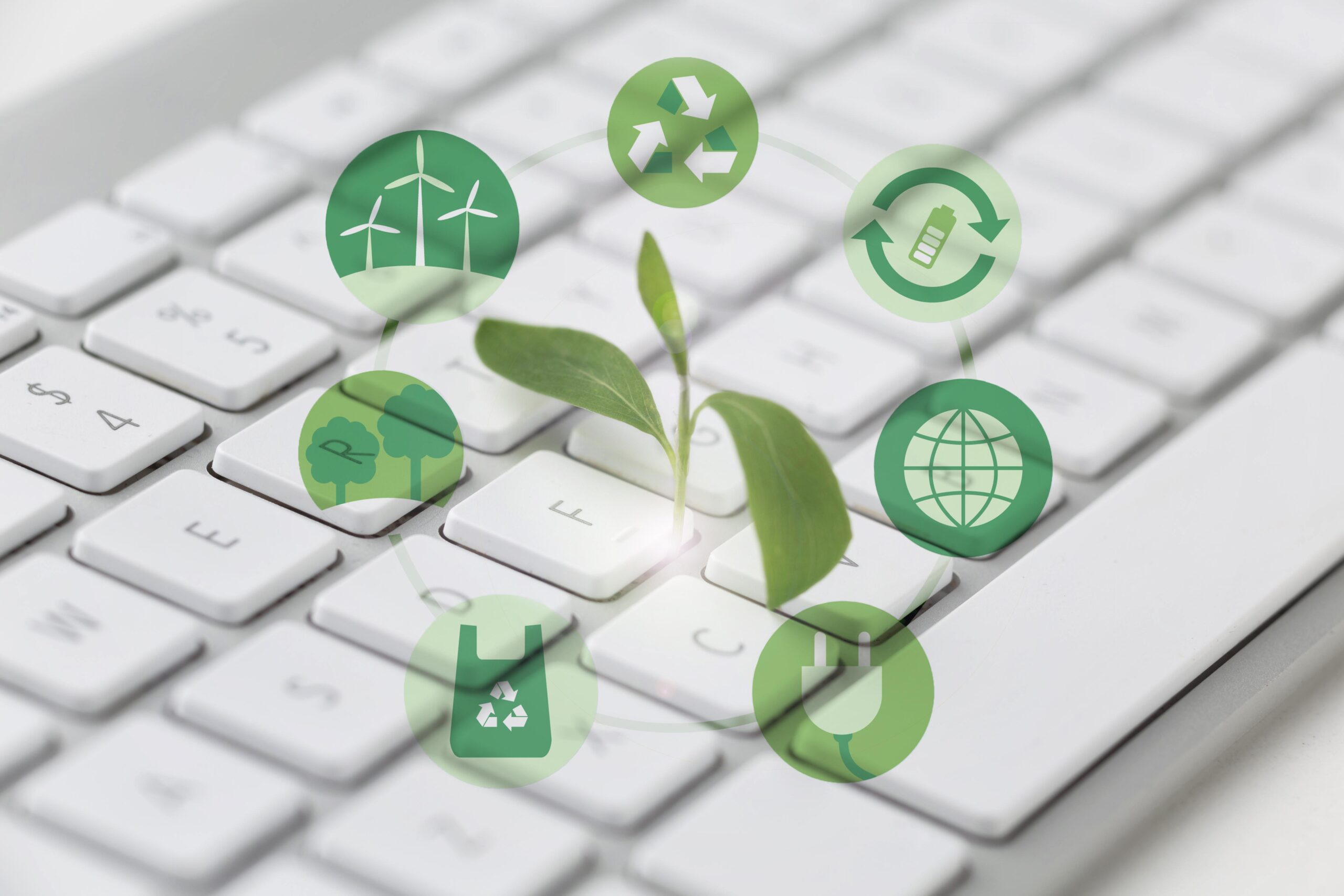 Seguros de Responsabilidad Medioambiental 